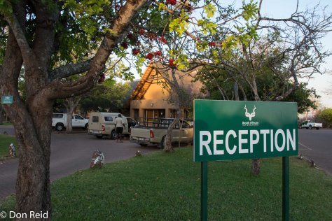Olifants rest camp, KNP
