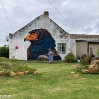 Friemersheim (Southern Cape) - Small Town is an Art Gallery!